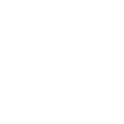 Simple Mode